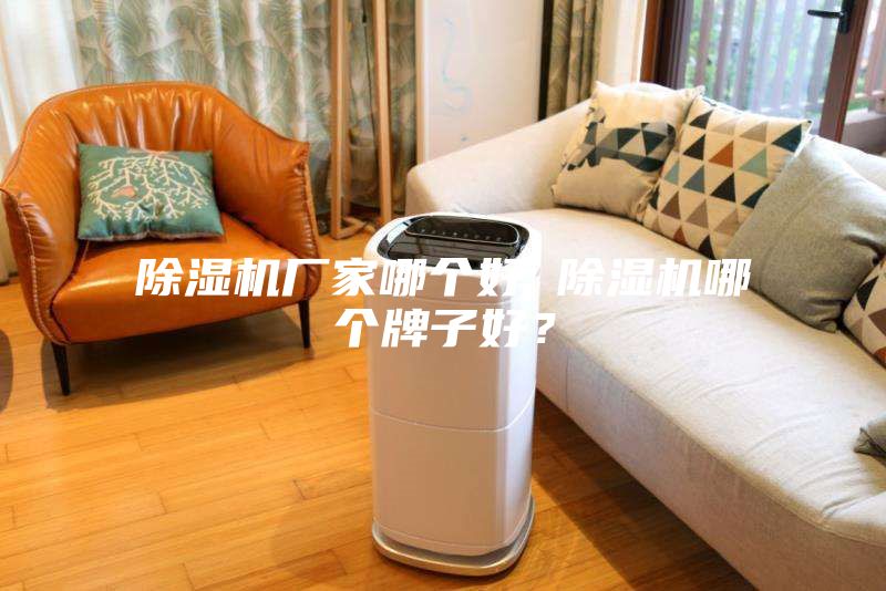 除濕機廠家哪個好 除濕機哪個牌子好？