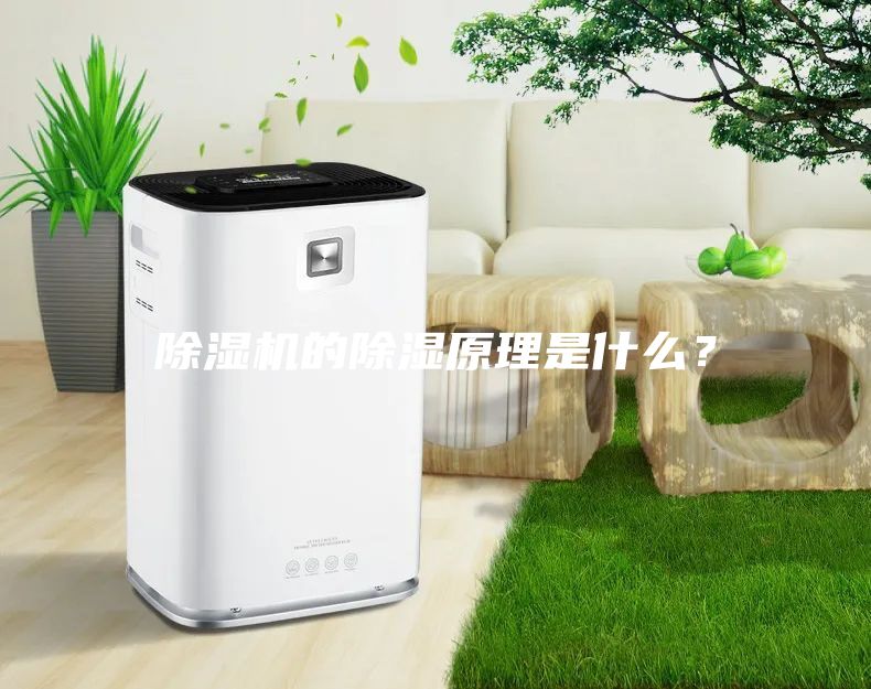 除濕機的除濕原理是什么？