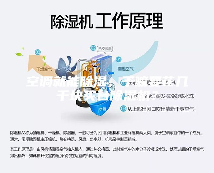 空調就能除濕，干嘛要花幾千塊買臺除濕機？