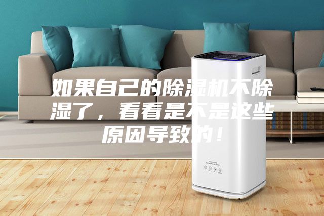 如果自己的除濕機不除濕了，看看是不是這些原因導致的！