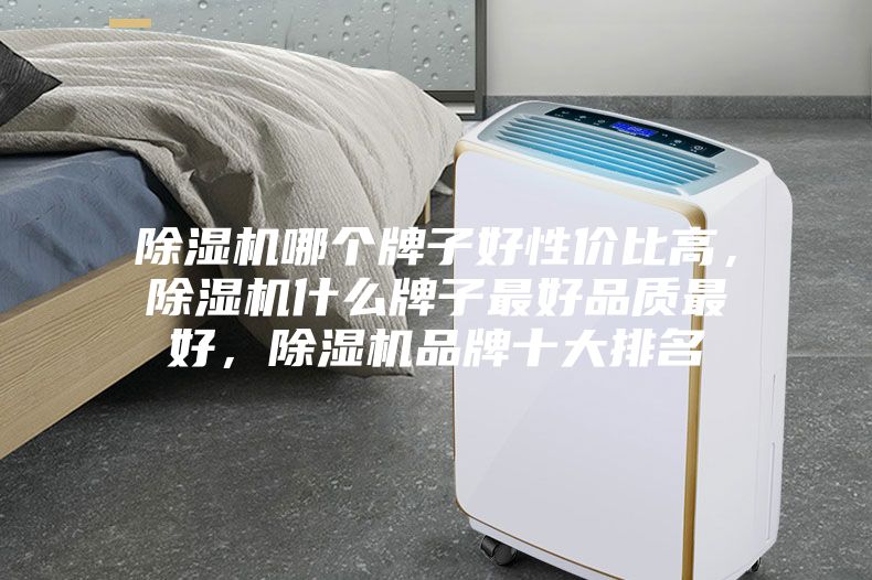 除濕機哪個牌子好性價比高，除濕機什么牌子最好品質最好，除濕機品牌十大排名