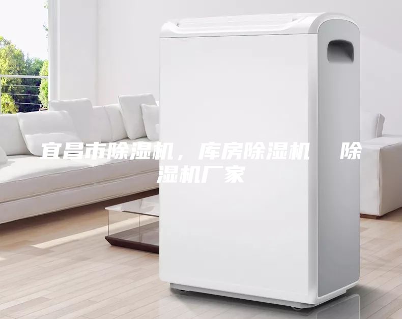 宜昌市除濕機，庫房除濕機  除濕機廠家